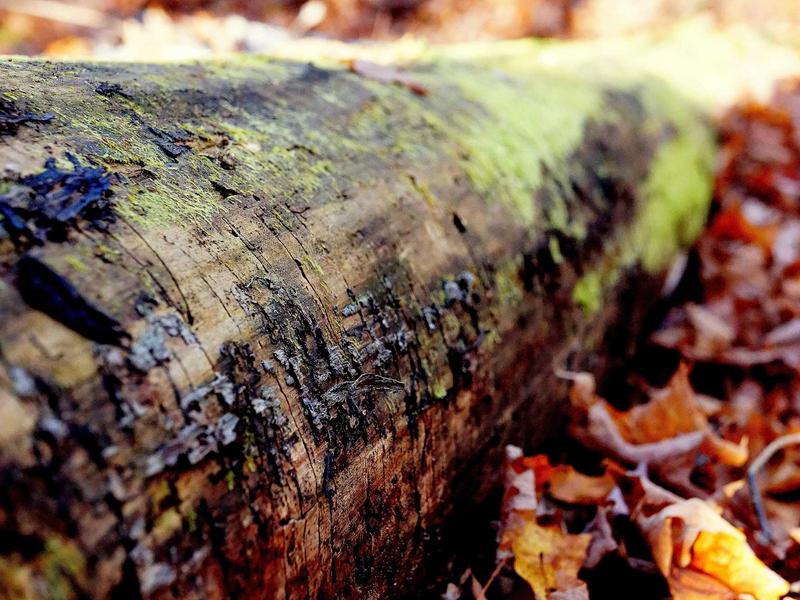 sudoku pattern recognition screenshot 4