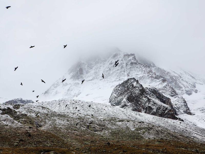 sudoku pattern recognition